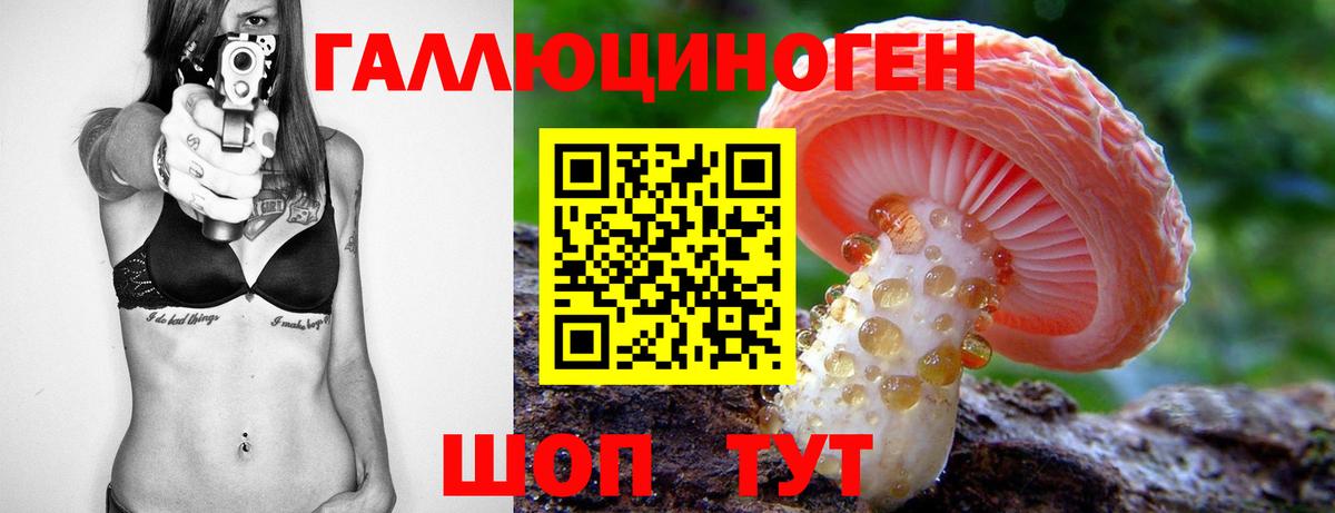Псилоцибиновые грибы Cubensis Шебекино