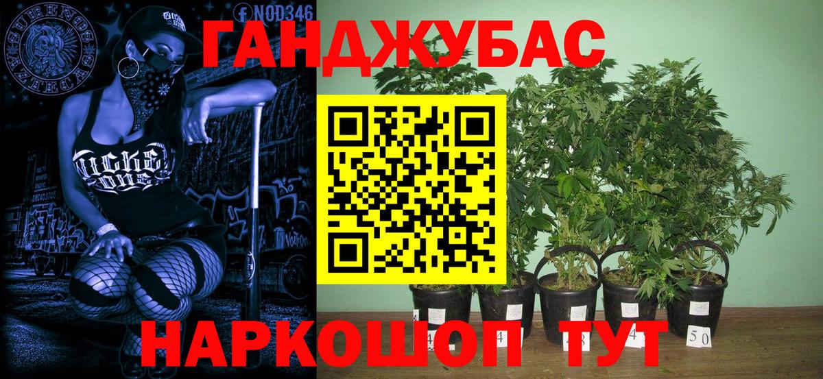 Каннабис OG Kush Шебекино